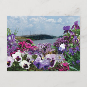 Segelbootbrücke und Blumen 15r1 Postkarte