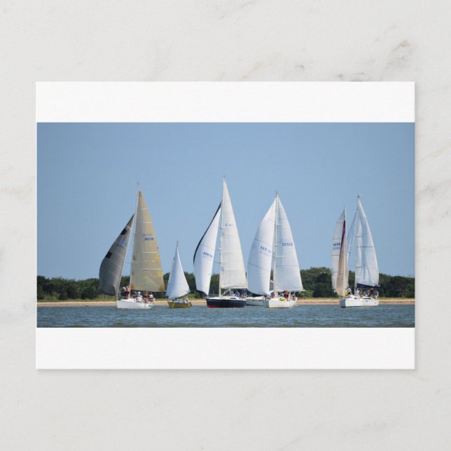 Segelboote am 4. Juli Postkarte (Vorderseite)