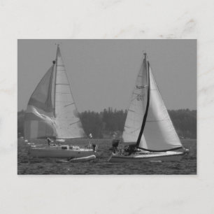 Segelboote Postkarte