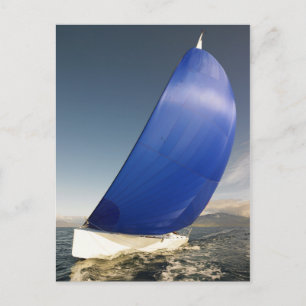 Segelboottipps im Wind Postkarte
