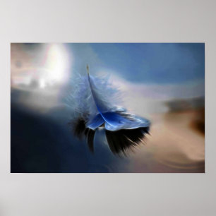 Segelfliege Poster