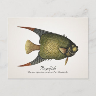 Segelflosser Postkarte - Stil II