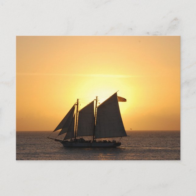 Segeln bei Sonnenuntergang Postkarte (Vorderseite)