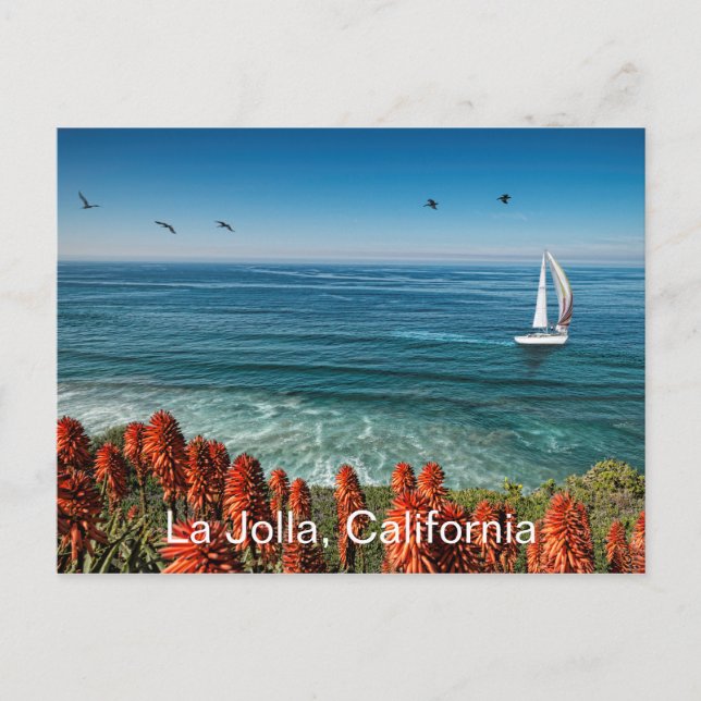 Segeln in La Jolla Postkarte (Vorderseite)