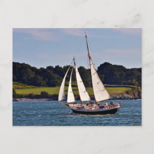 Segeln in Newport, Rhode Island, USA Postkarte