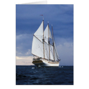 Segelschiff in der Ostsee