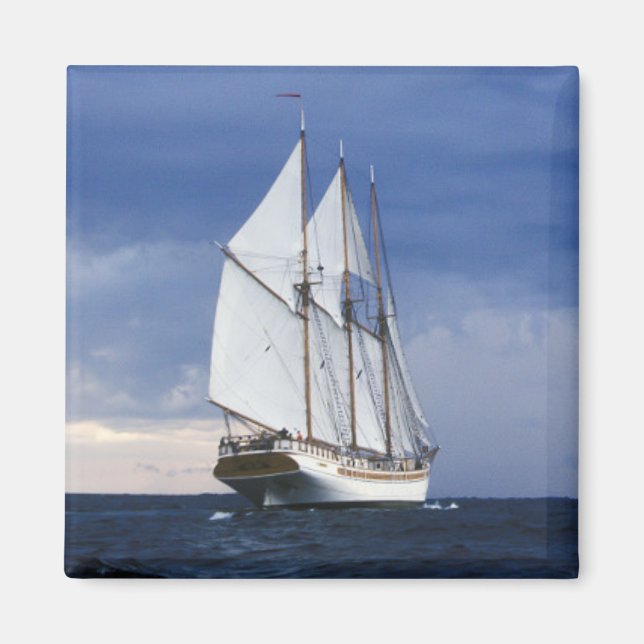 Segelschiff in der Ostsee Magnet (Vorne)