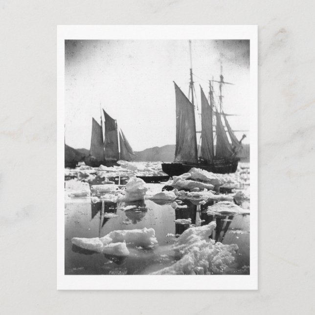 Segelschiffe in einem Eisfeld - 1869 Foto Postkarte (Vorderseite)