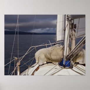 Segeltörn in einen Sturm - Kunstdruckerei Poster