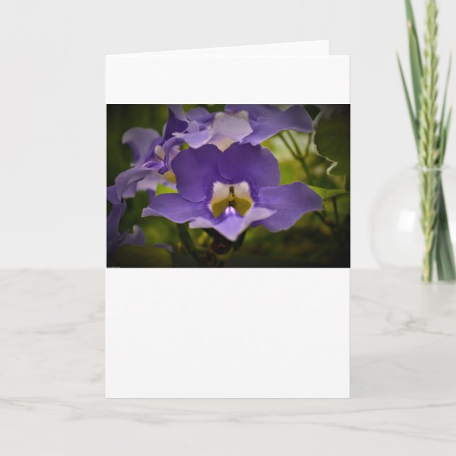 Segen der Natur, Karte (Vorderseite)