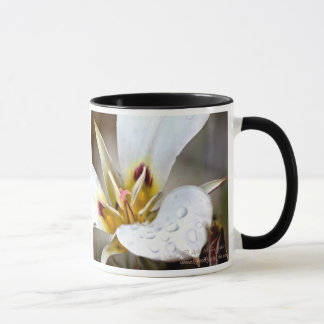 Sego Lilie Tasse