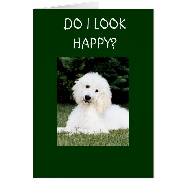 SEHE ICH GLÜCKLICH AUS? (Vorne)