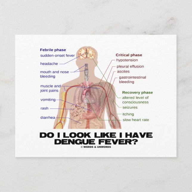 Sehe ich so aus, als hätte ich Dengue Fieber? (Ana Postkarte (Vorderseite)