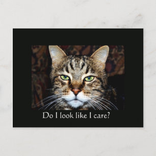Sehe ich so aus, als wäre es mir wichtig? postkarte