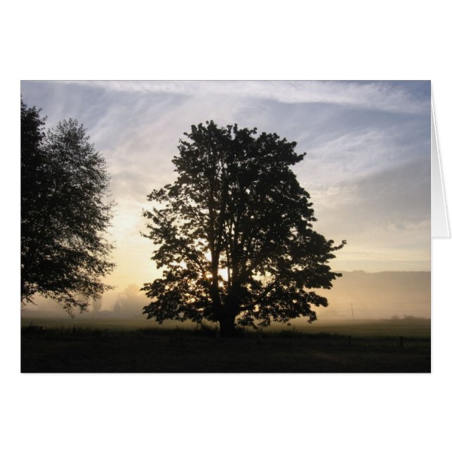 Sehen der Karte beider Seiten (Vorderseite (Horizontal))