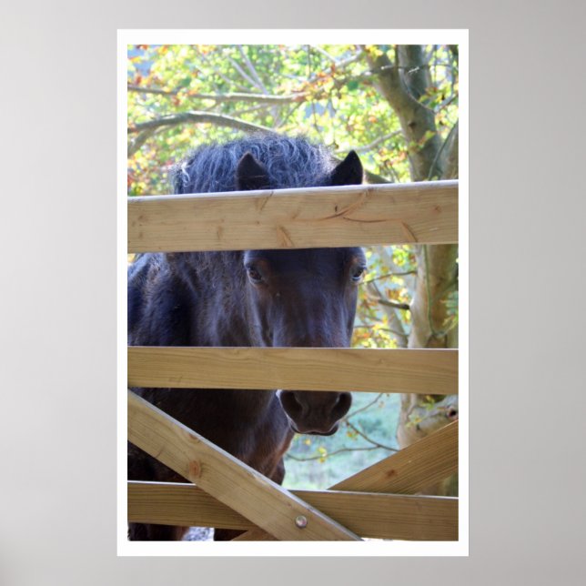 Sehen. [Drucken] Poster (Vorne)