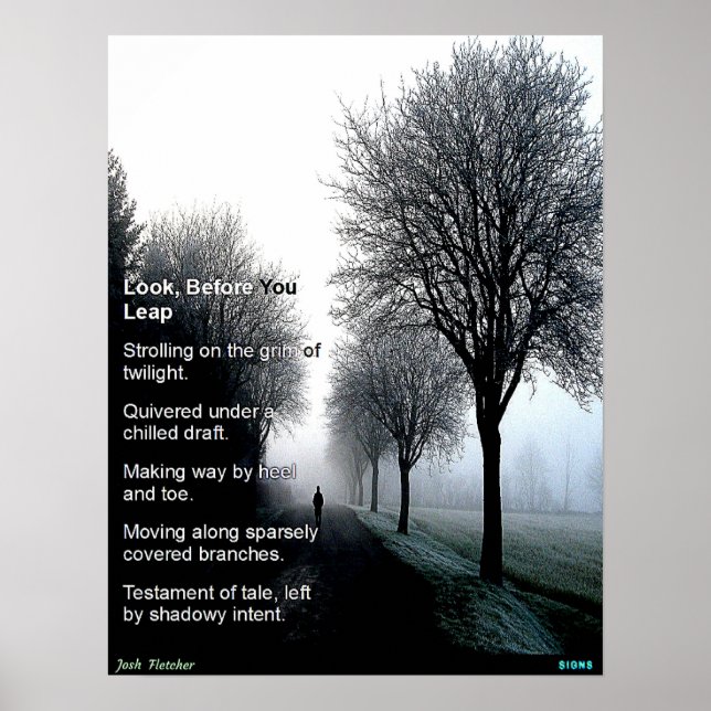Sehen Sie, bevor Sie springen Poster (Vorne)