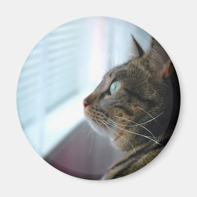 Sehen Sie die Kitty draußen nach Magnet (Vorne)