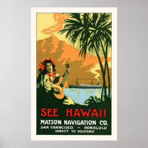 Sehen Sie Hawaii-Reise-Plakat Poster