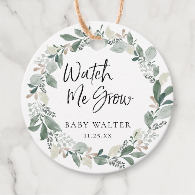 Sehen Sie mir wachsen zu | Eucalyptus Baby Shooter Geschenkanhänger (Vorderseite)