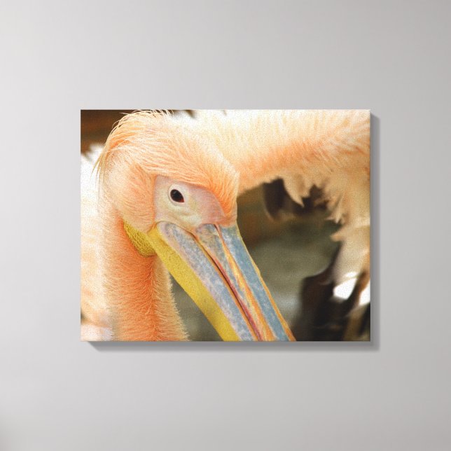Sehen Sie Pelican Canvas drucken Leinwanddruck (Vorderseite)