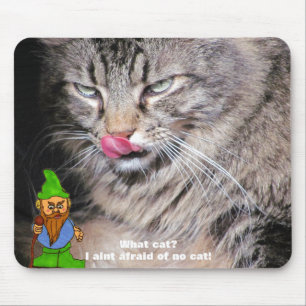 Sehen Sie sich die Katzen an? Mousepad