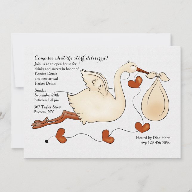 Sehen Sie, was der Storch geliefert hat Einladung (Vorderseite)