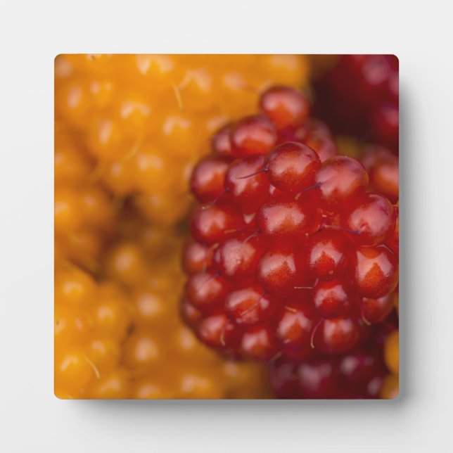 Sehr Berry Fotoplatte (Vorderseite)