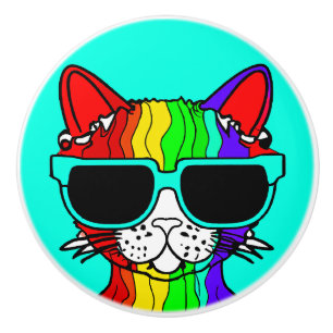Sehr Cool Rainbow Cat mit Sunglass auf Aquamarin Keramikknauf