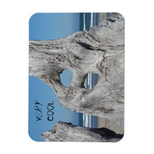 Sehr Coole Magnete Blue Ocean Beach Wellen Driftwo