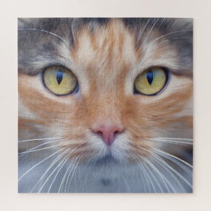Sehr Cooles Cat Face Jigsaw Puzzle