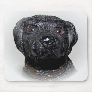 Sehr Cooles Schwarzes Lab Mousepad