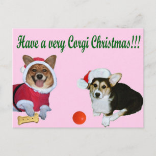 Sehr Corgi-Weihnachten M u. rosa Postkarte G