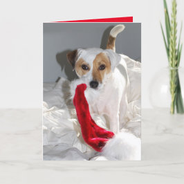 Sehr geehrte Frau Claus JRT Holiday Card Feiertagskarte