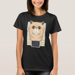 Sehr geehrter Vater, ich kann erklären, dass ich e T-Shirt