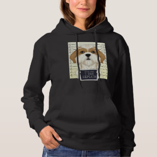 Sehr geehrter Vater, ich kann erklären, ich Shih T Hoodie