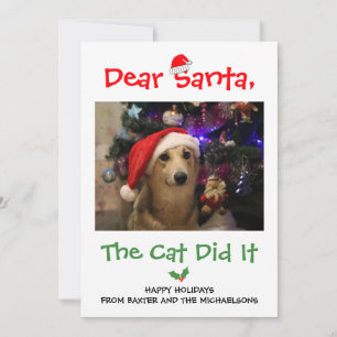 Sehr geehrter Weihnachtsmann, die Katze hat es lus Feiertagskarte