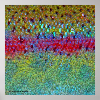 Sehr großes Regenbogenforelle-Poster Poster