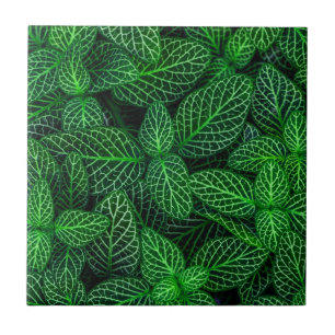 Sehr grünes Leaf-Muster Fliese