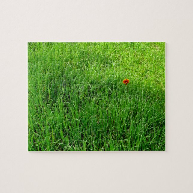 Sehr herausforderndes Grüngras (Horizontal)