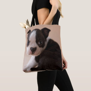 Sehr junger Welpe Bostons Terrier Tasche