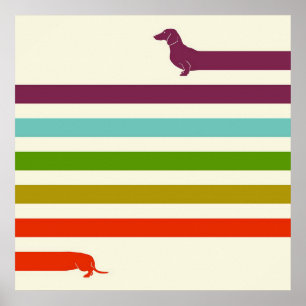 Sehr langer Dachshund Bunter   Husky Liebhaber  Poster
