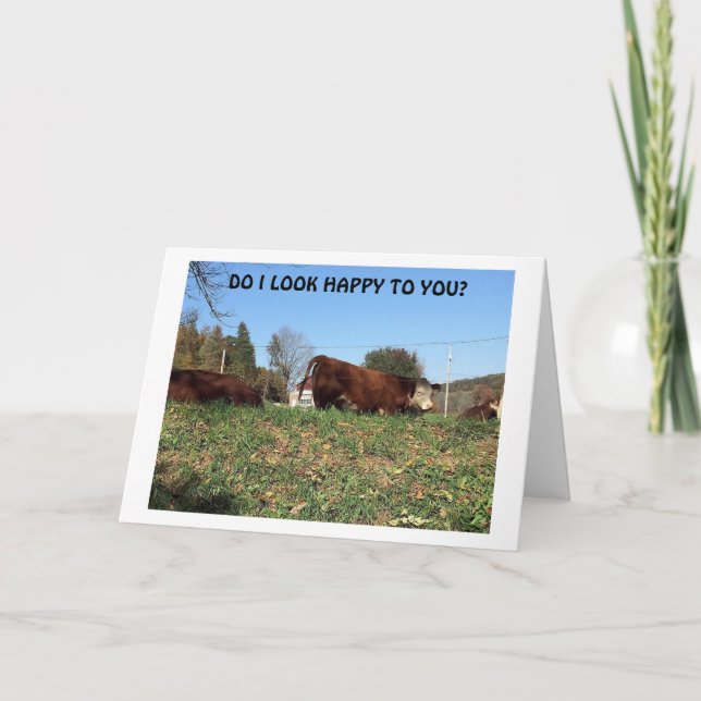 SEHR MAD "COW" SAGT UNGLAUBLICH, WEIL ICH "FEHLT D KARTE (Vorderseite)