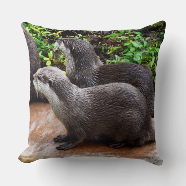Sehr Niedlich, Otters, große Sitzecke. Kissen (Vorderseite)