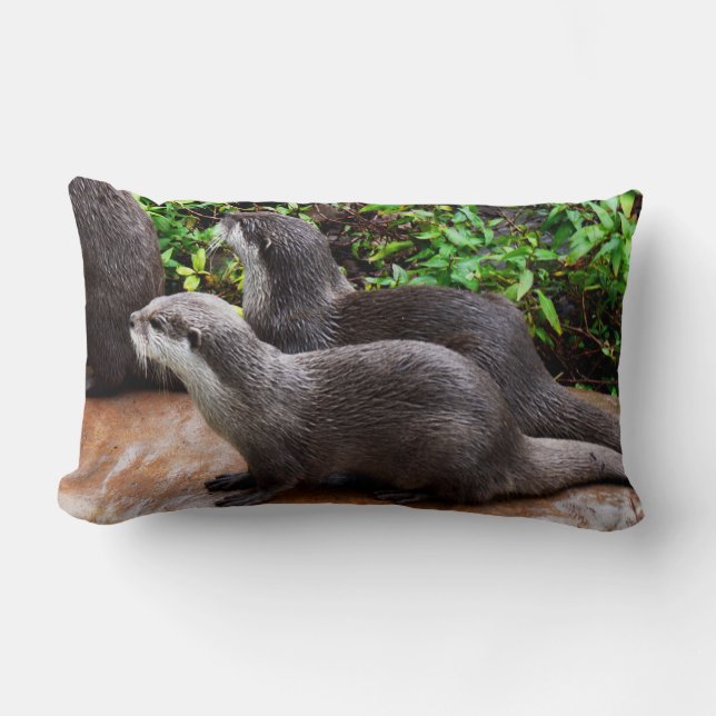 Sehr Niedlich, Otters, Lumbar Lounge Cushion. Lendenkissen (Vorderseite)