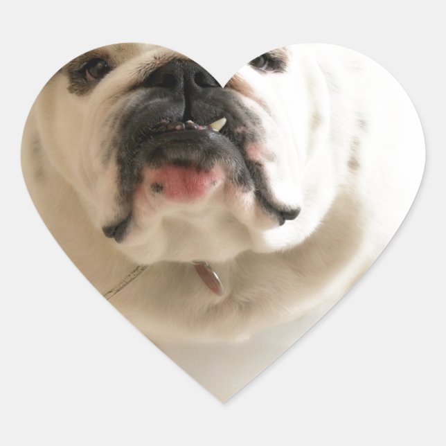 Sehr Niedlicher Bulldog Herz-Aufkleber (Vorderseite)