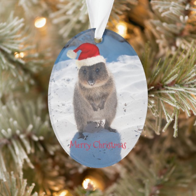 Sehr niedlicher Quokka Frohe Weihnachten Ornament (Baum)