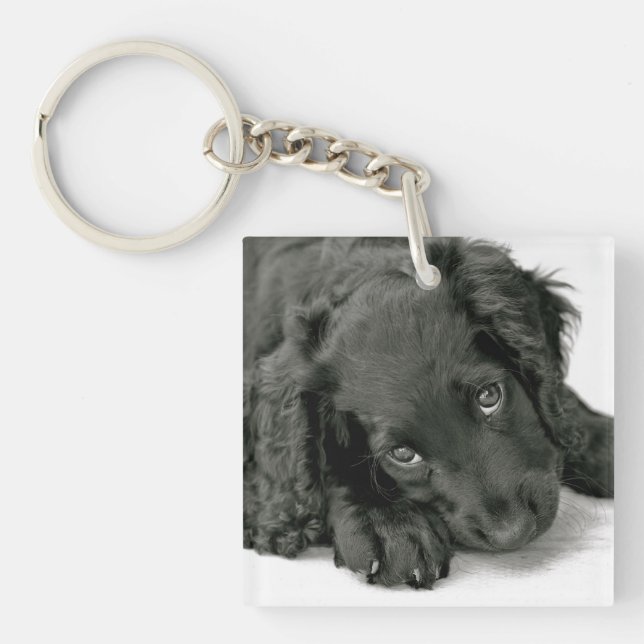 Sehr niedlicher Spaniel-Schlüsselanhänger Schlüsselanhänger (Vorderseite)