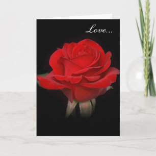 Sehr Rote Rose "Liebe" Feiertagskarte