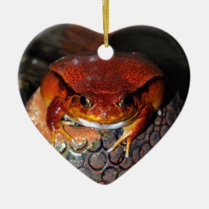 Sehr schöner Tomatenfrosch. Frosch mit ungewöhnl Keramik Ornament